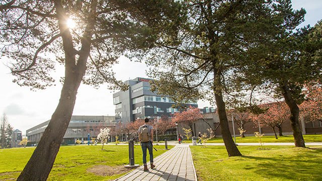 Como Fazer Faculdade no Canadá: Dúvidas Frequentes